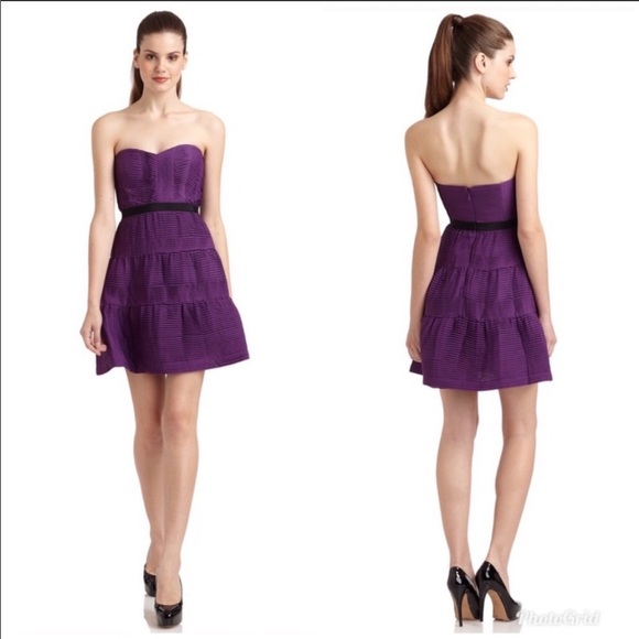 BCBGMaxAzria Dresses & Skirts - BCBGMAXAZRIA- Grape Pleated Chiffon Dress 10 NWT